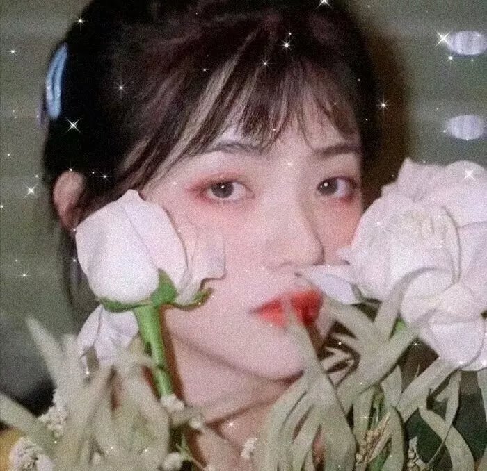 黄水仙的秘密